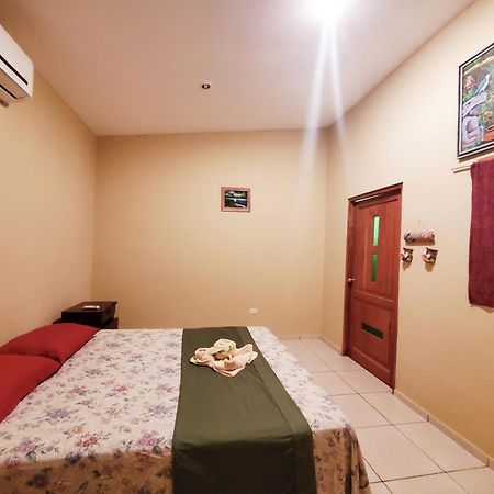 The Jungle Villa Mérida Екстериор снимка