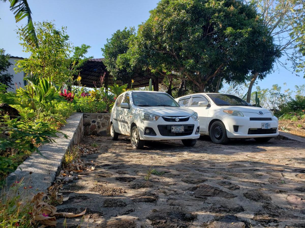 The Jungle Villa Mérida Екстериор снимка