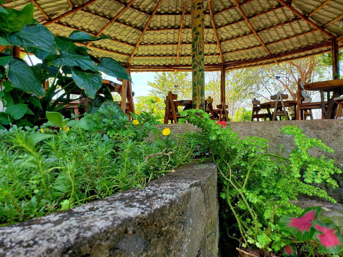 The Jungle Villa Mérida Екстериор снимка