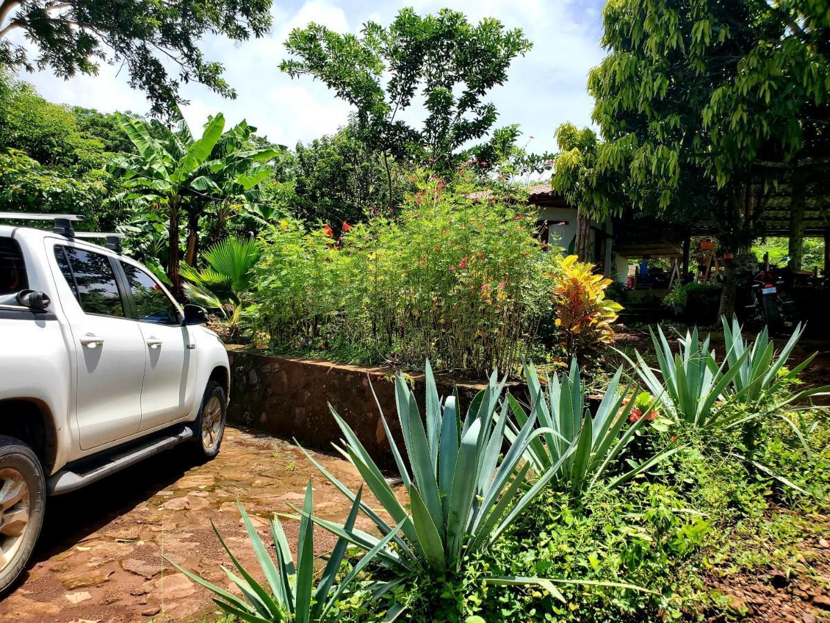 The Jungle Villa Mérida Екстериор снимка