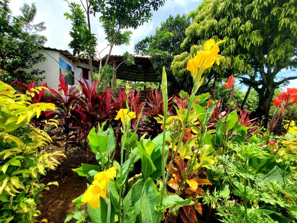 The Jungle Villa Mérida Екстериор снимка