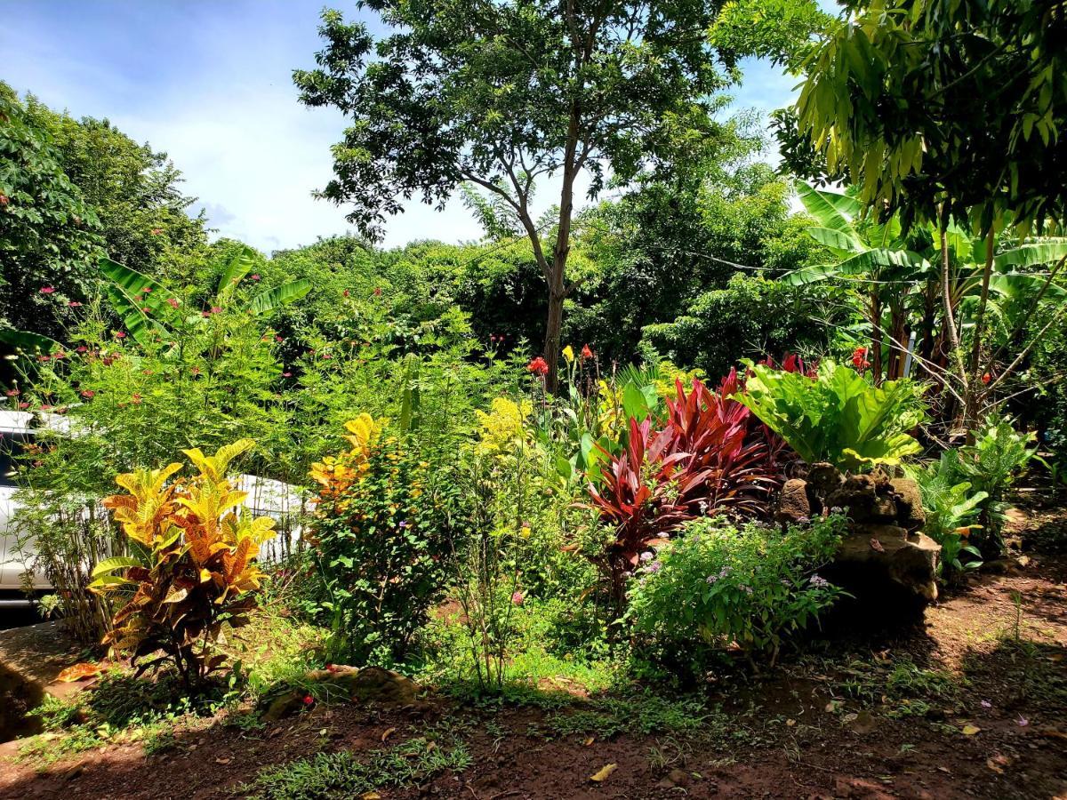 The Jungle Villa Mérida Екстериор снимка