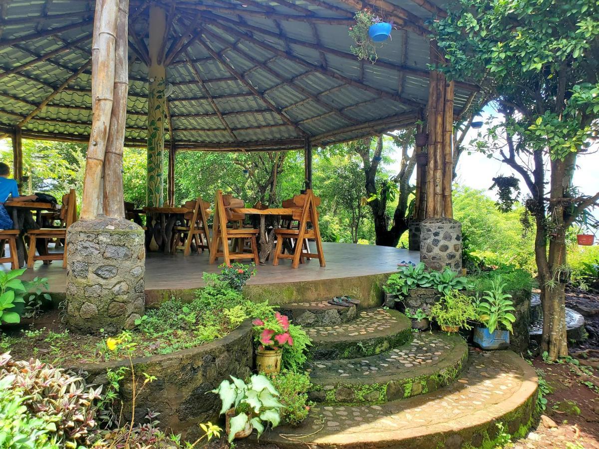The Jungle Villa Mérida Екстериор снимка