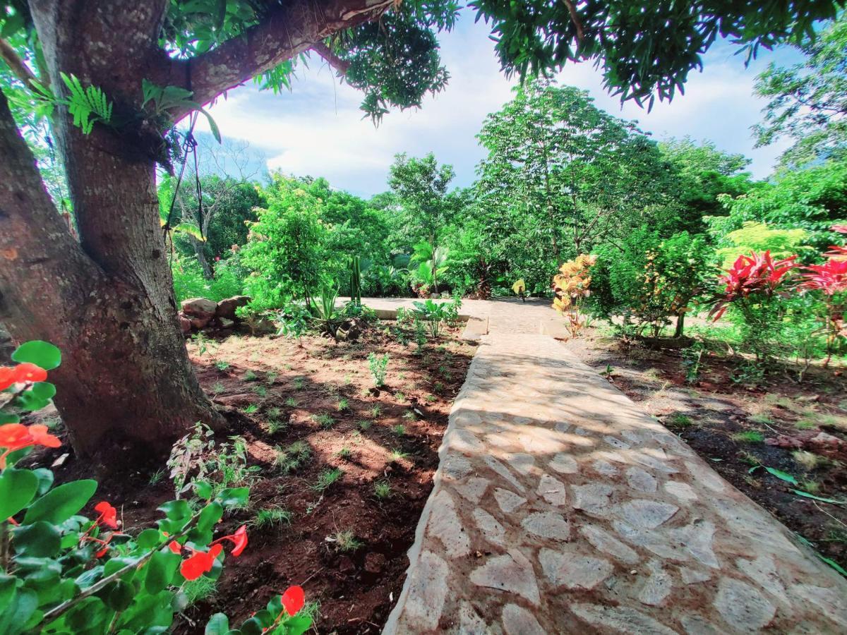 The Jungle Villa Mérida Екстериор снимка