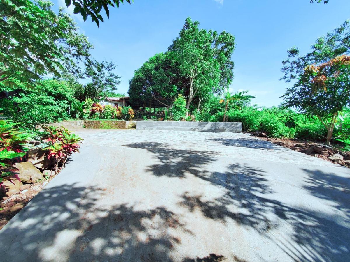 The Jungle Villa Mérida Екстериор снимка
