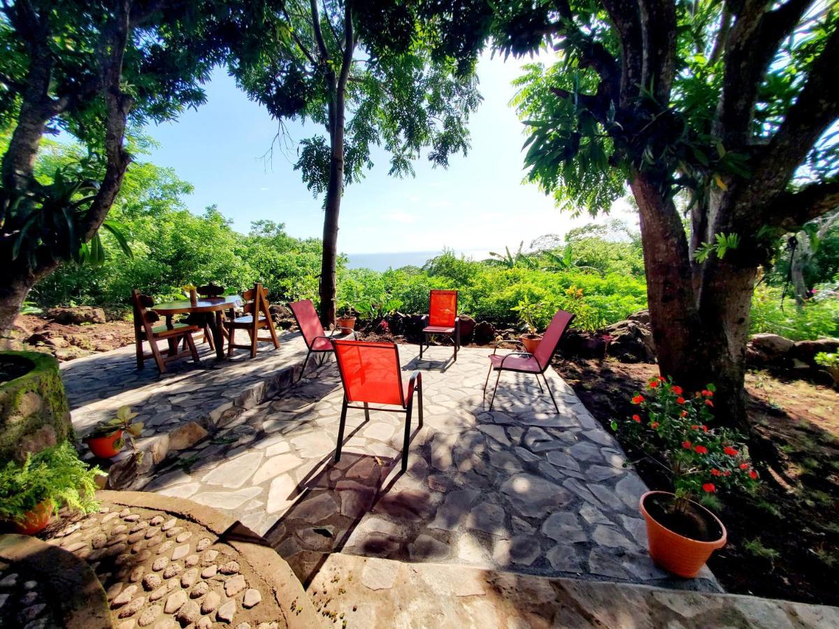 The Jungle Villa Mérida Екстериор снимка