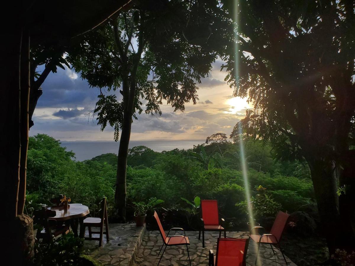 The Jungle Villa Mérida Екстериор снимка