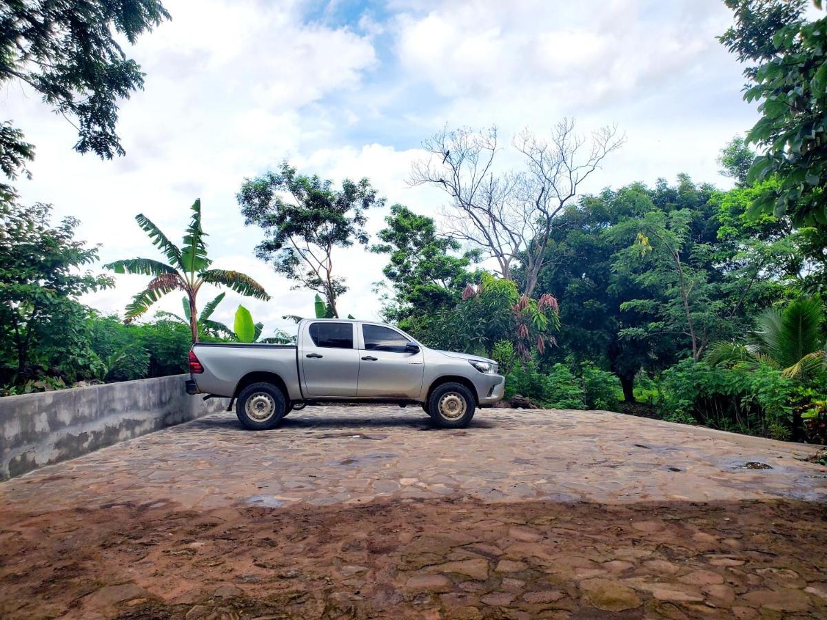 The Jungle Villa Mérida Екстериор снимка
