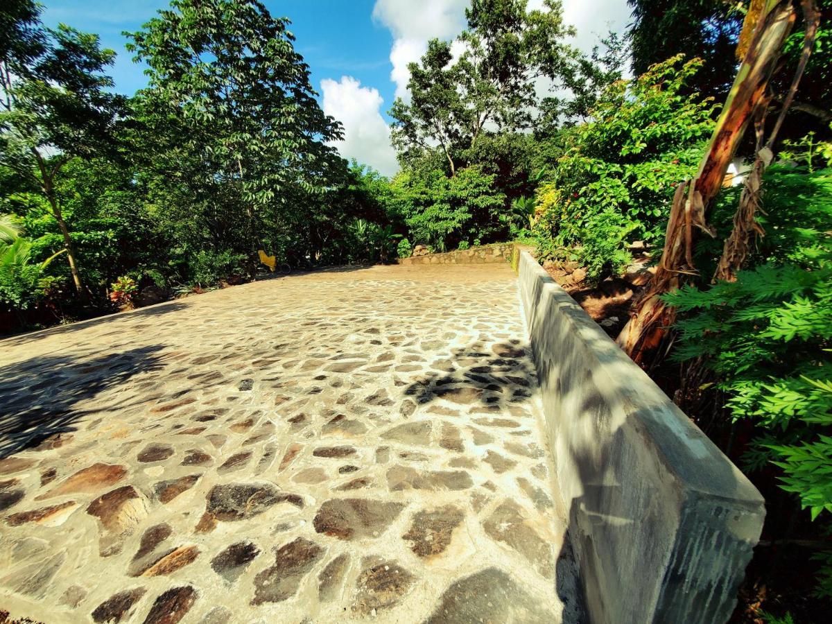 The Jungle Villa Mérida Екстериор снимка