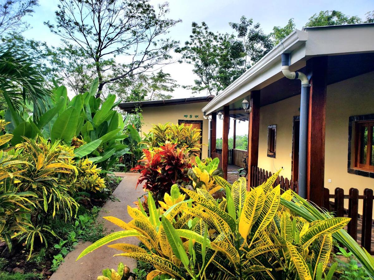 The Jungle Villa Mérida Екстериор снимка