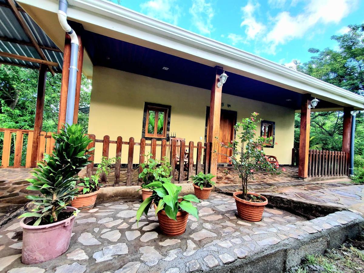 The Jungle Villa Mérida Екстериор снимка