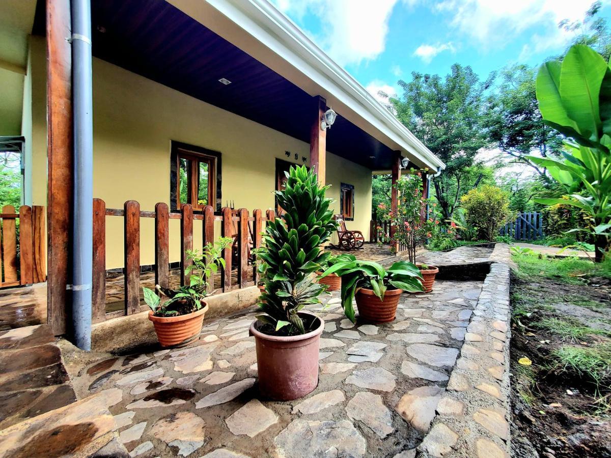 The Jungle Villa Mérida Екстериор снимка