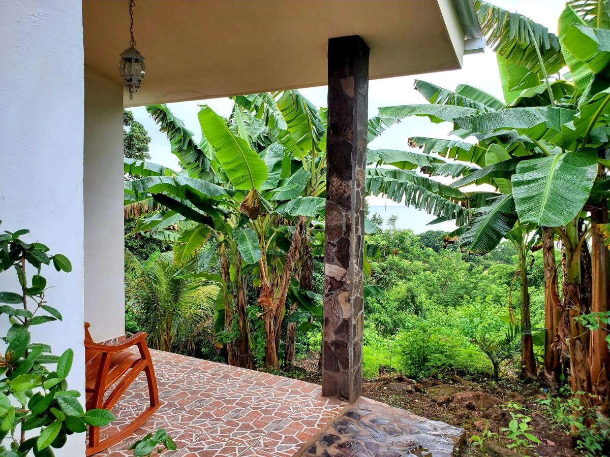 The Jungle Villa Mérida Екстериор снимка