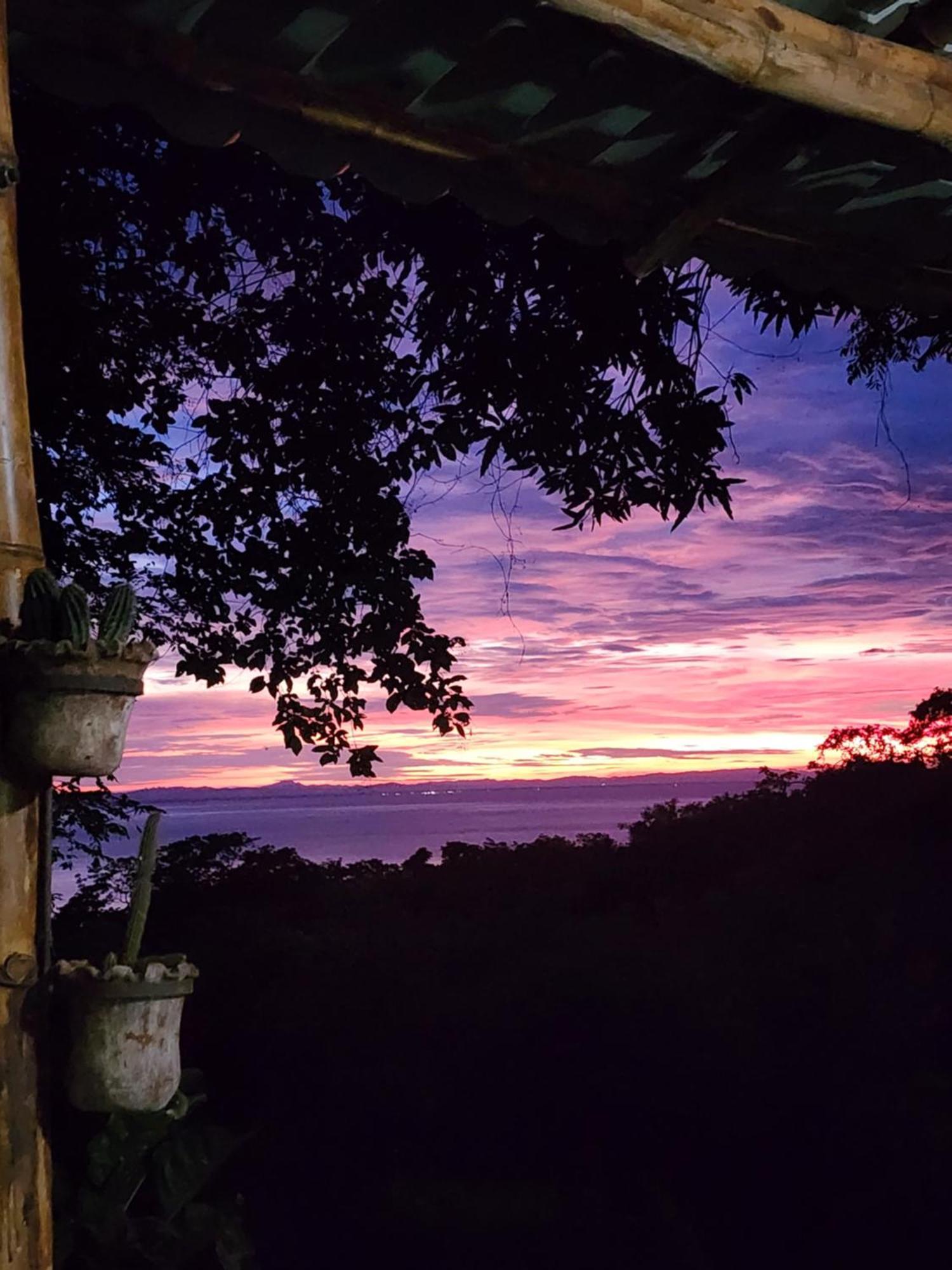 The Jungle Villa Mérida Екстериор снимка