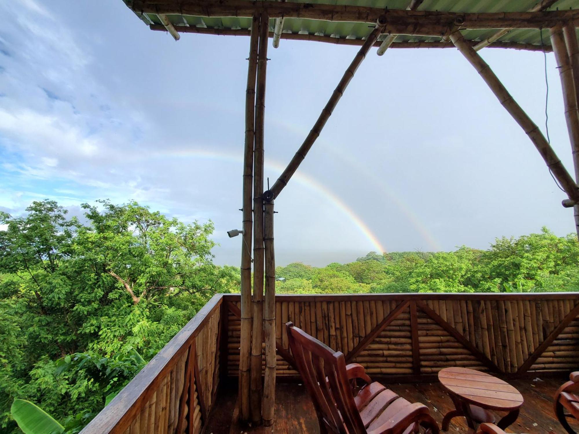 The Jungle Villa Mérida Екстериор снимка