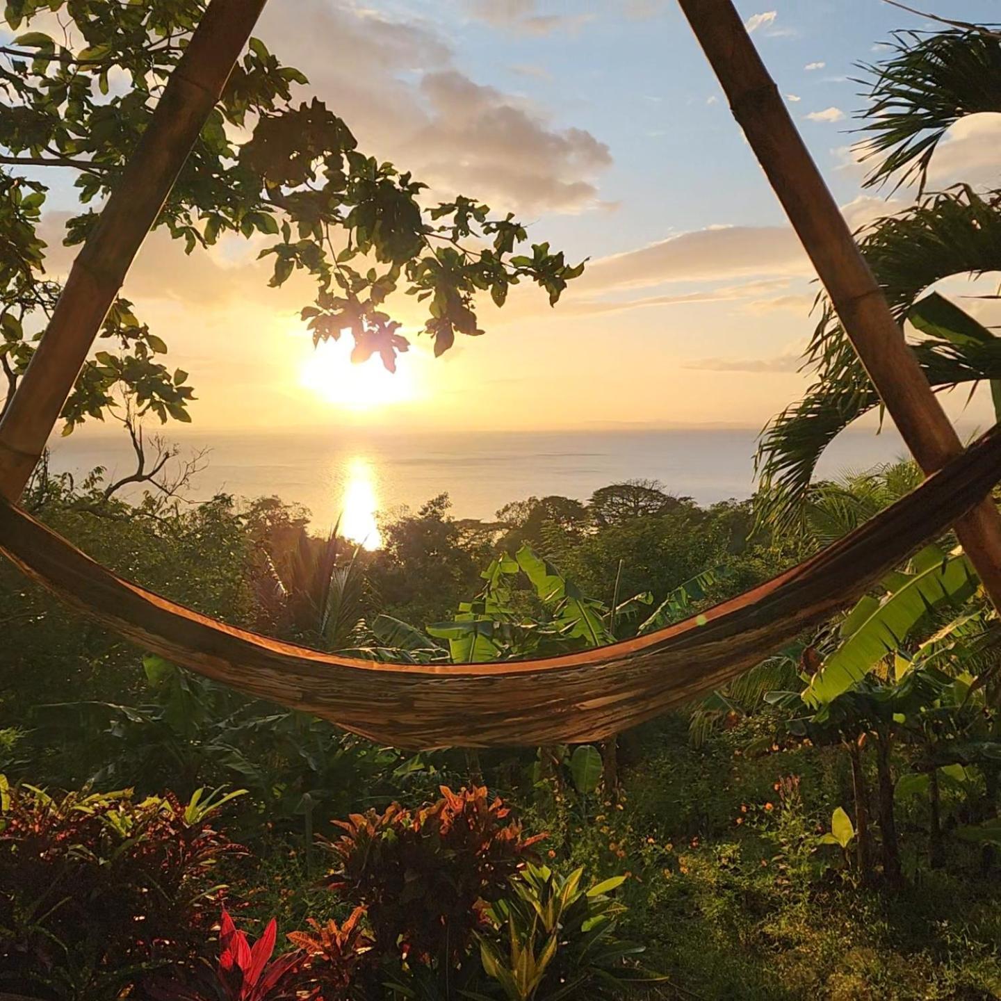 The Jungle Villa Mérida Екстериор снимка