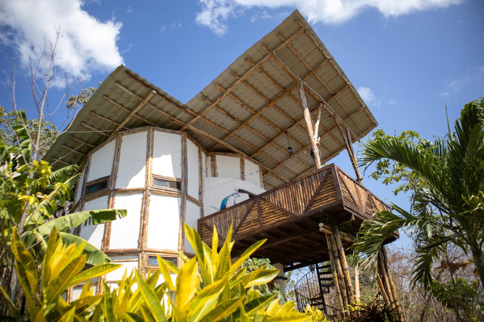 The Jungle Villa Mérida Екстериор снимка