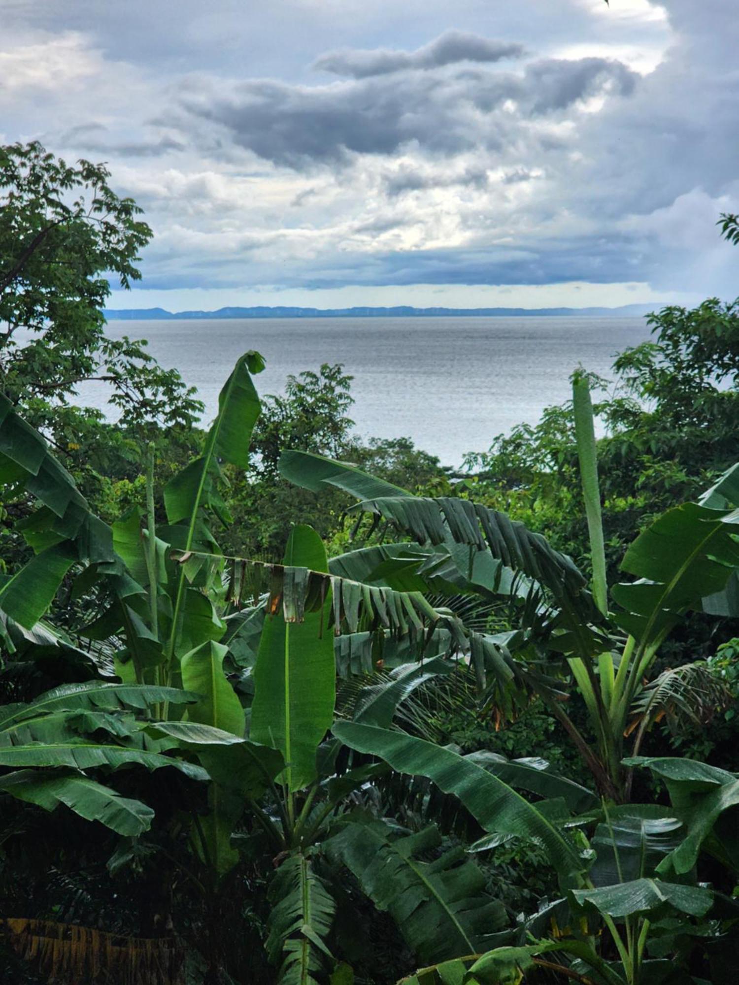 The Jungle Villa Mérida Екстериор снимка