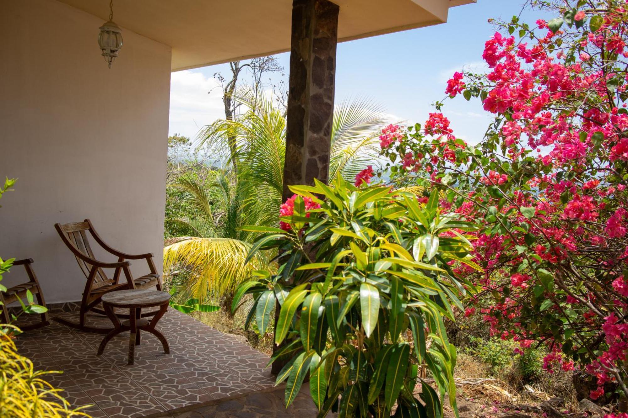 The Jungle Villa Mérida Екстериор снимка